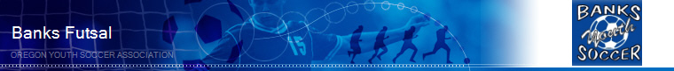 Banks Futsal banner